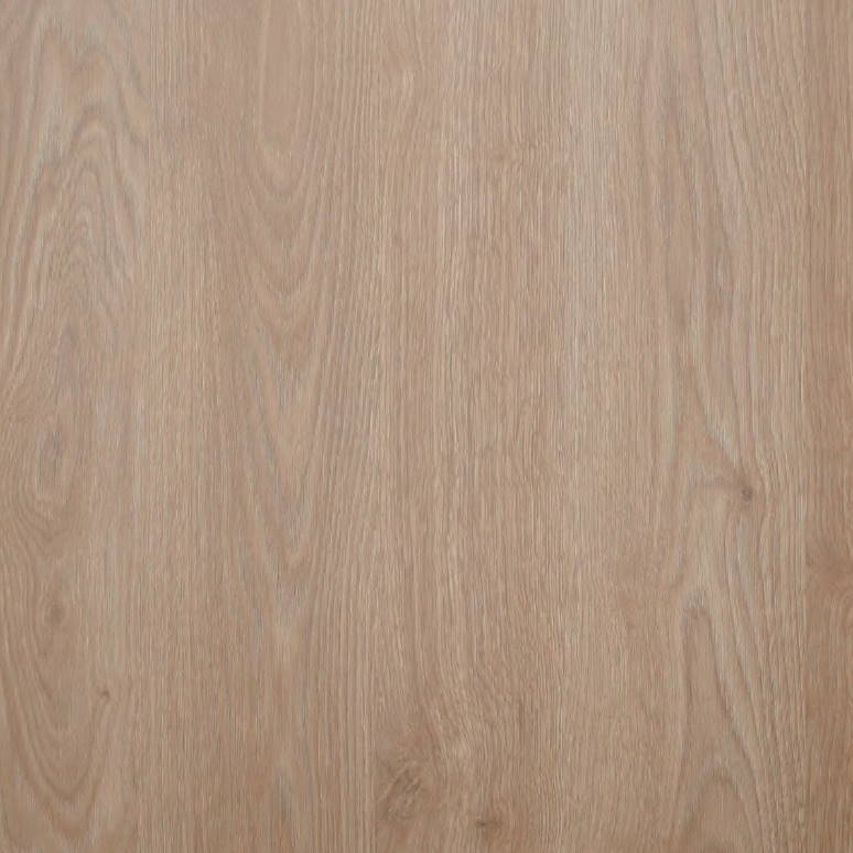 Сосна капучино